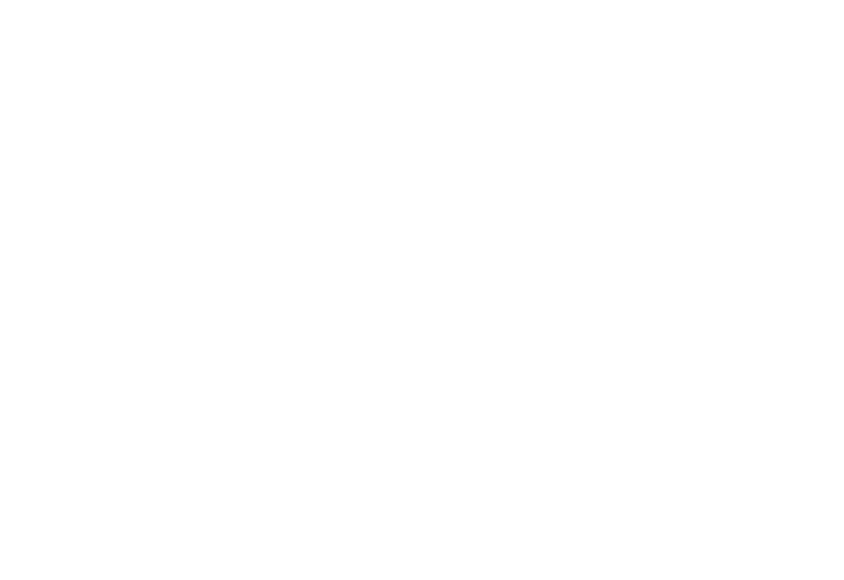 Partners Background