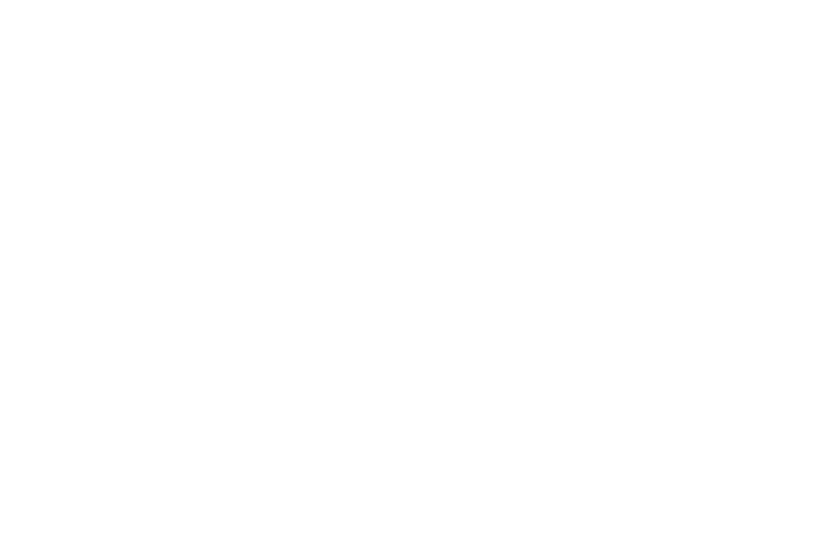E45-logo-white-new