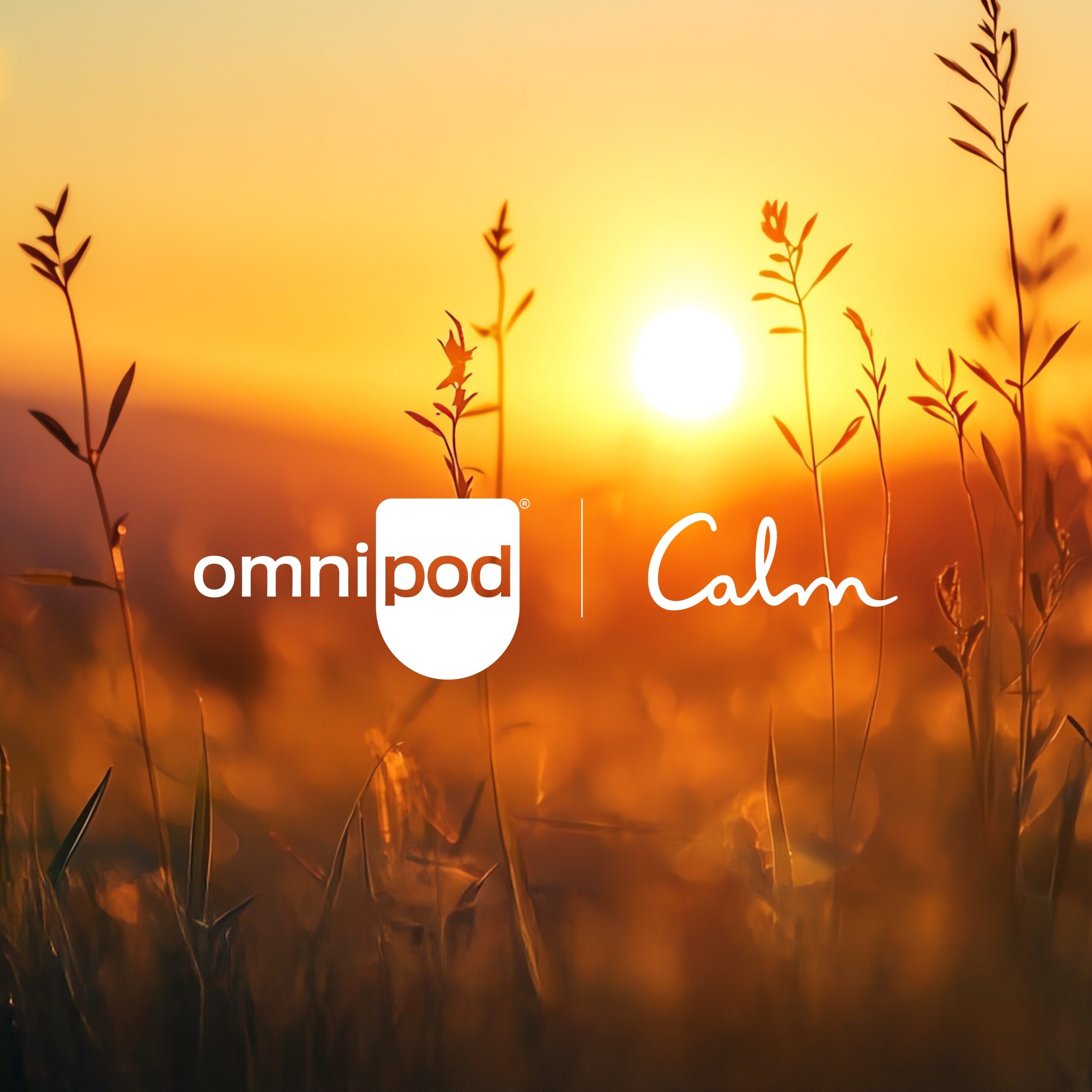 Insulet and Calm Launch ‘Mind in Range’ Wellness Tools for Diabetes Care
